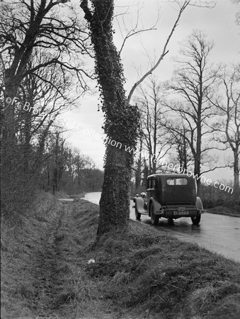 HALF WAY TREE ON LIMERICK ROAD